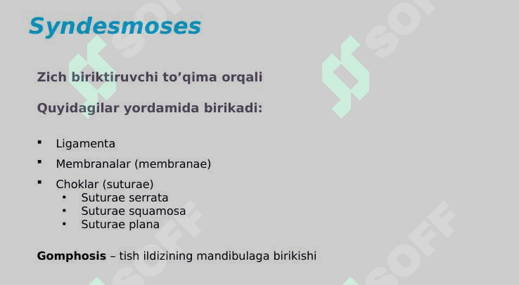 Umurtqa pogʻonasi koʻkrak qafasi suyaklarning oʻzaro birikishi 5