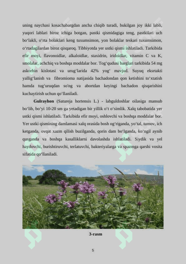 Marvaridguldoshlar oilasi (2).docx 6