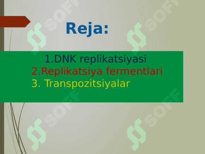 DNK replikatsiyasi 2
