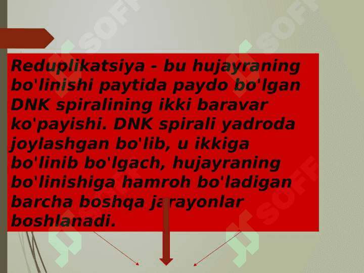 DNK replikatsiyasi 3