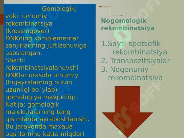 DNK replikatsiyasi 6
