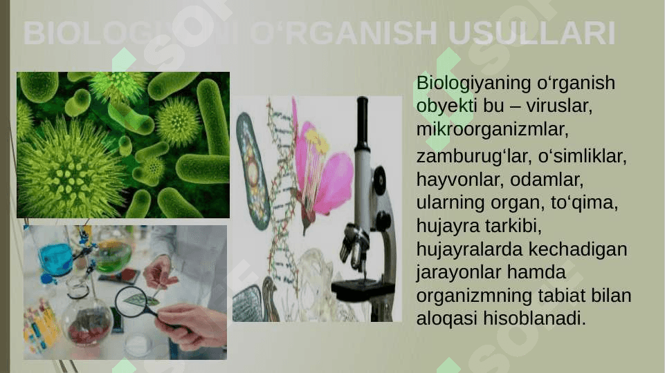 O’QUVCHILARNING MUSTAQIL ISHLARINI TASHKIL ETISH  METODIKASI 2