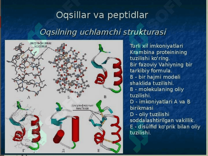 Yangi sintez bo’lgan oqsillarning komodifiksiyasi, transporti va bu yangi oqsillarning funksiyasi 4