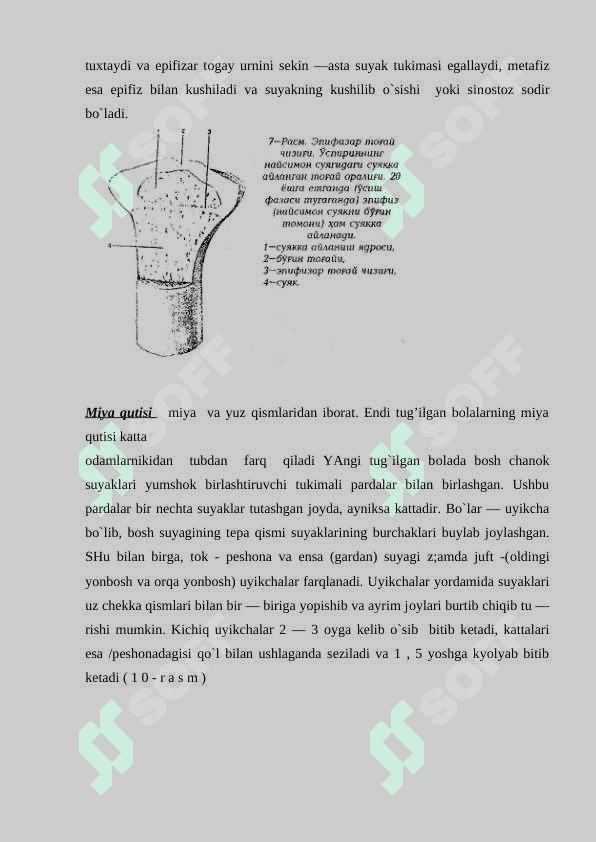 Oʻzbekiston yangi tarixidan sessiya test savollari 4