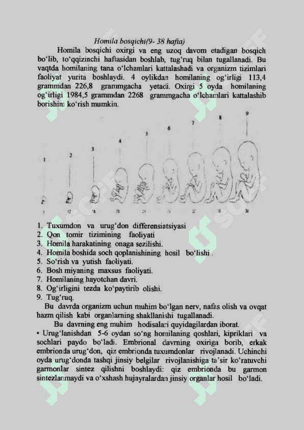 Chaqaloqlik davrining psixologik xususiyatlari 3