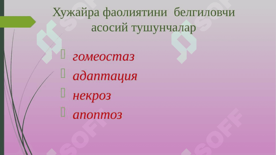 Хужайра патофизиологияси 8