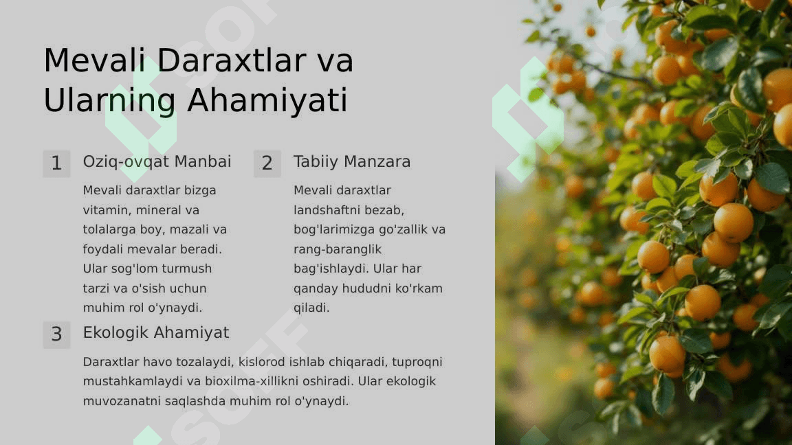 Meva va Rezavor Meva O'simliklari: Tashqi Muhit Omillariga Talab 2