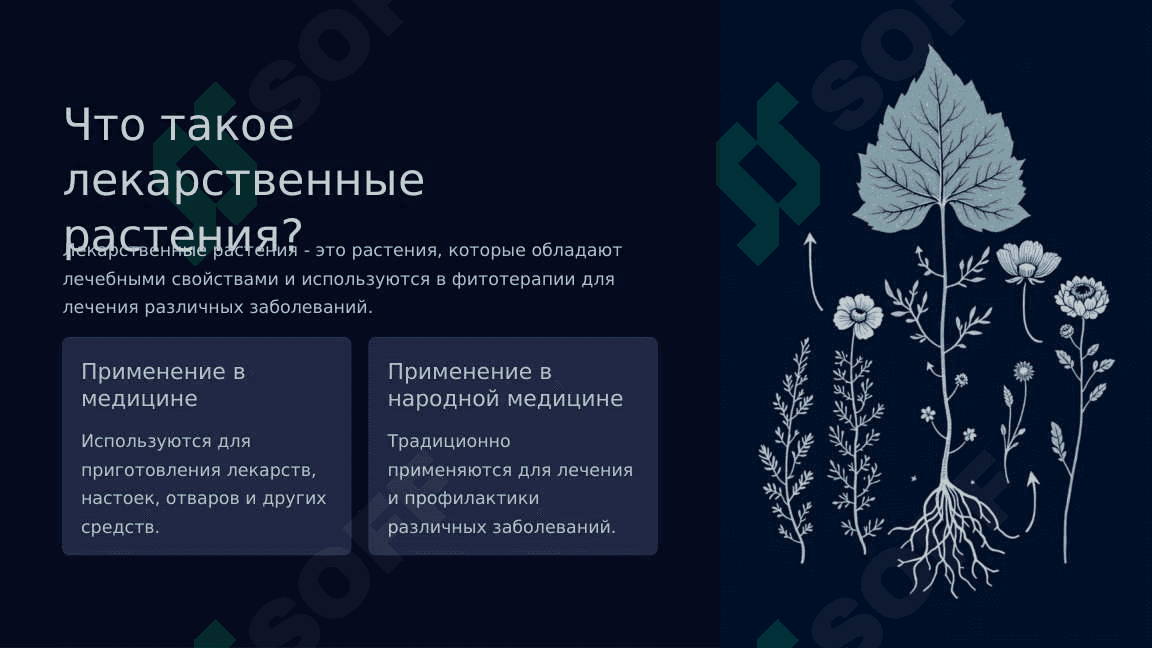 Виды лекарственных растений. Польза и вред 3