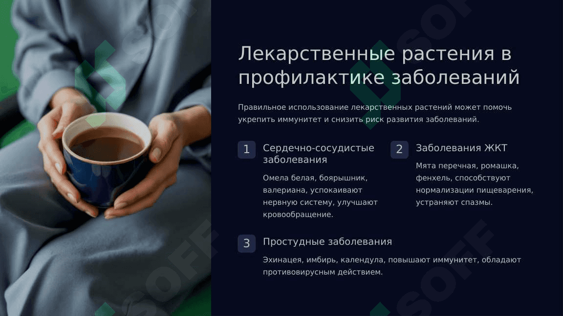Виды лекарственных растений. Польза и вред 5