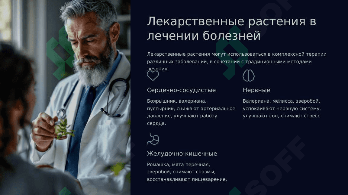 Виды лекарственных растений. Польза и вред 6