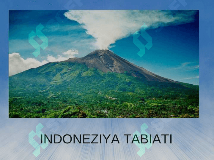 INDONEZIYA 8