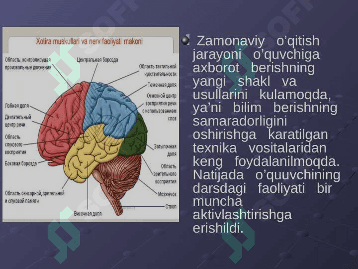 Nerv sistemasining ahamiyati va uning gigiyenasi 3