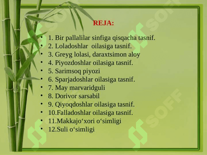 O’simliklarning hayotiy shakllari 2