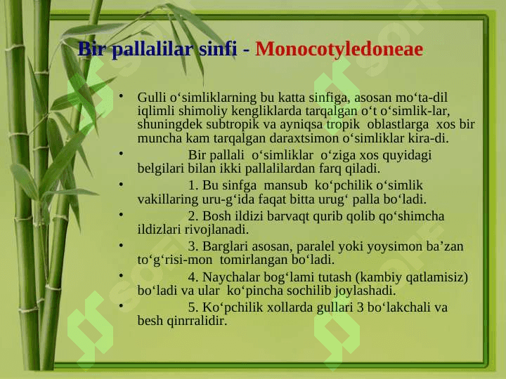 O’simliklarning hayotiy shakllari 3