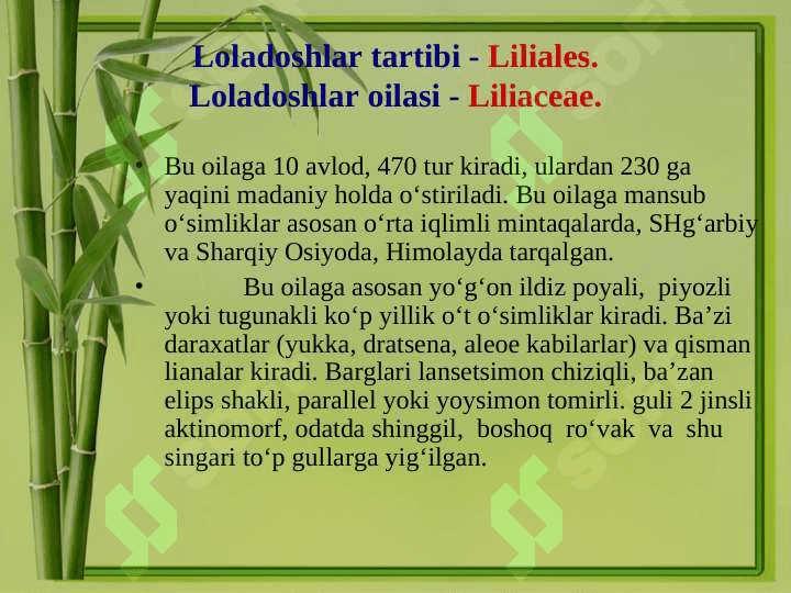 O’simliklarning hayotiy shakllari 7