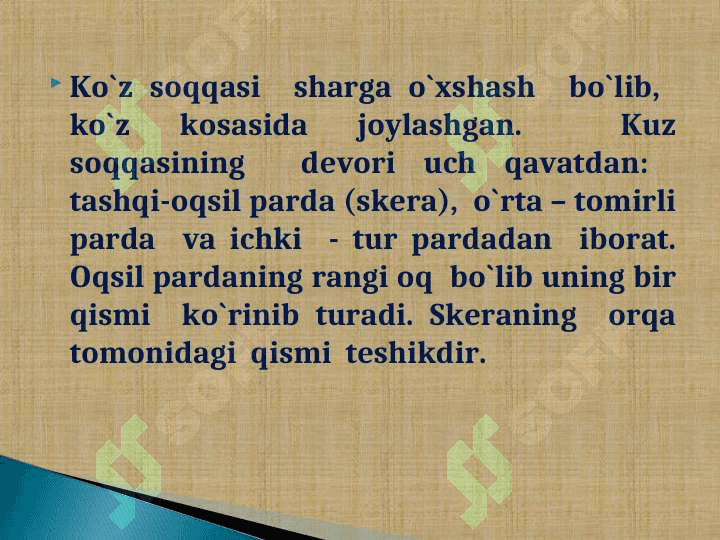 Ko`rish analizatorining tuzilishi va yosh xususiyatlari 6