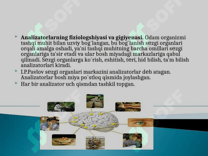 Ko`rish analizatorining tuzilishi va yosh xususiyatlari 7
