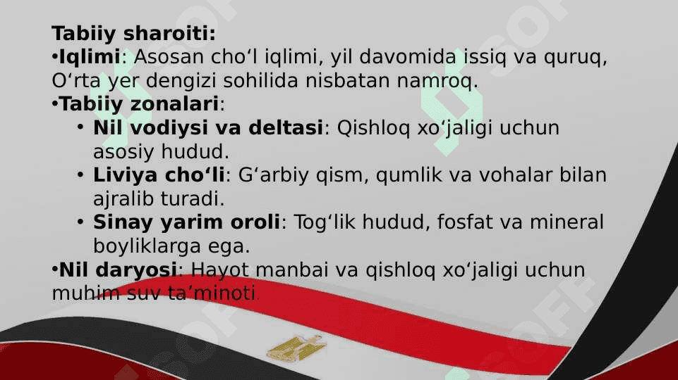 Misr Arab Respublikasi 7
