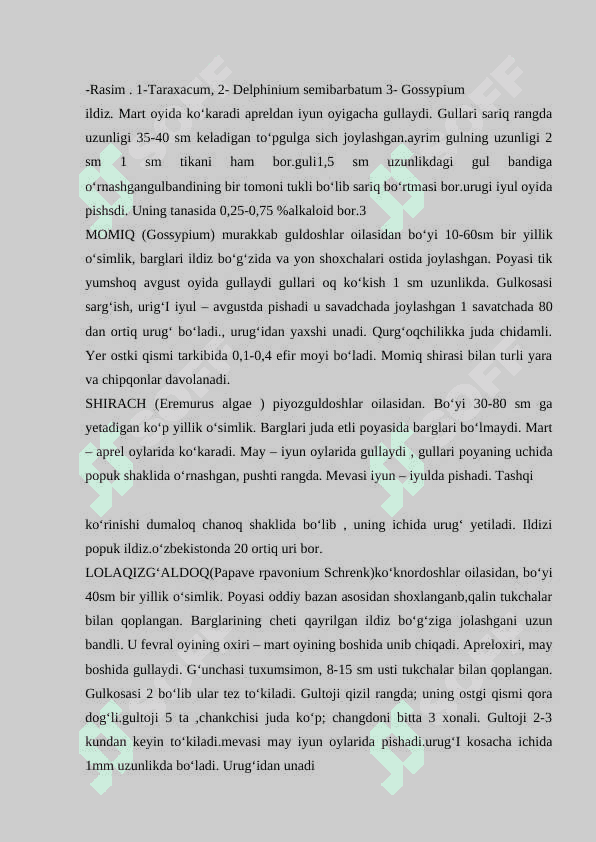 O'ZBEKISTONNING TOG',CHO'L, DASHTLARIDA  O'SADIGAN O'SIMLIKLAR 5
