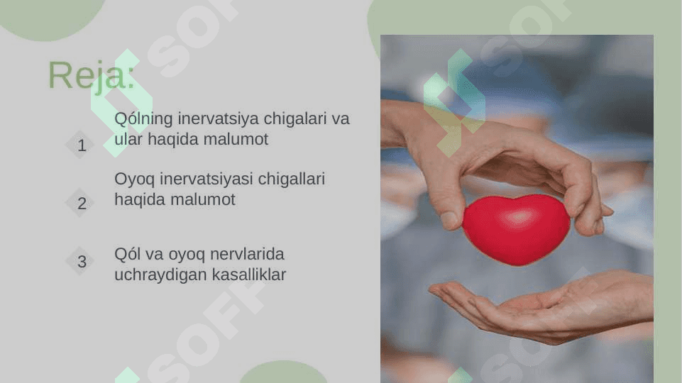 Qoʻl va Oyoq inervatsiyasi Chigallari 2