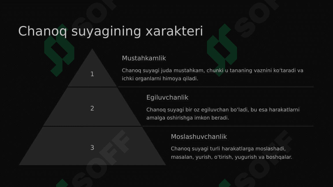 Chanoq sohasidagi suyaklarning oʻzaro birlashuvi. Chanoq. Chanoq son boʻgʻimi 6