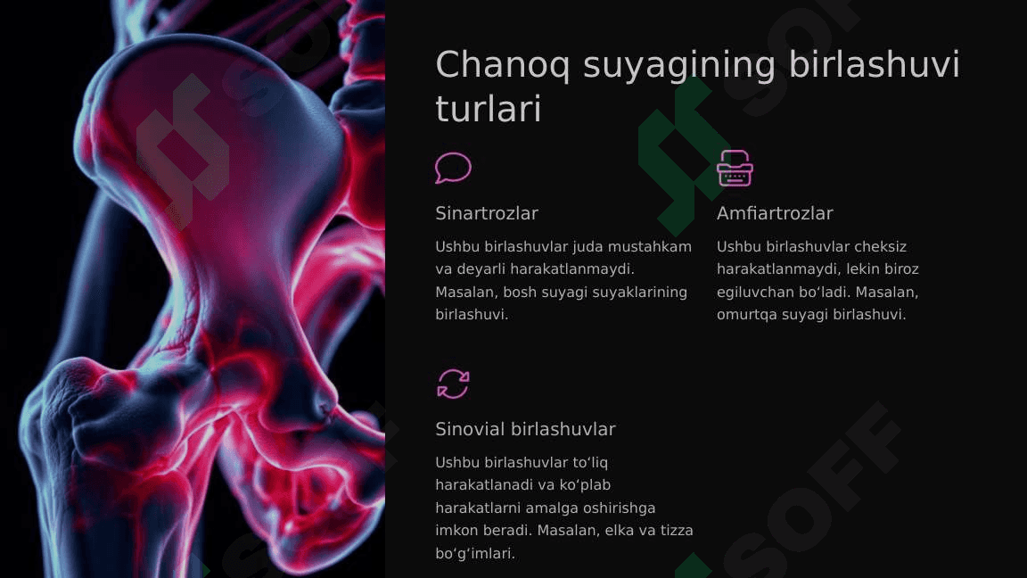Chanoq sohasidagi suyaklarning oʻzaro birlashuvi. Chanoq. Chanoq son boʻgʻimi 8
