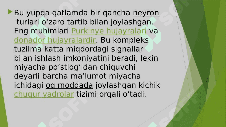 Miyacha o'zaklari va ularning klinik ahamiyati 5