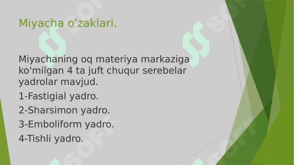Miyacha o'zaklari va ularning klinik ahamiyati 7