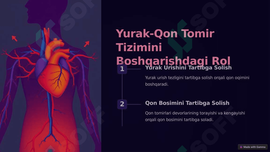 Vegetativ Oliy Markazlar va ularning funksional ahamiyati 6