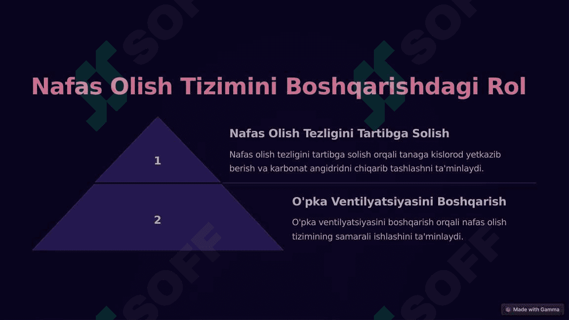 Vegetativ Oliy Markazlar va ularning funksional ahamiyati 8