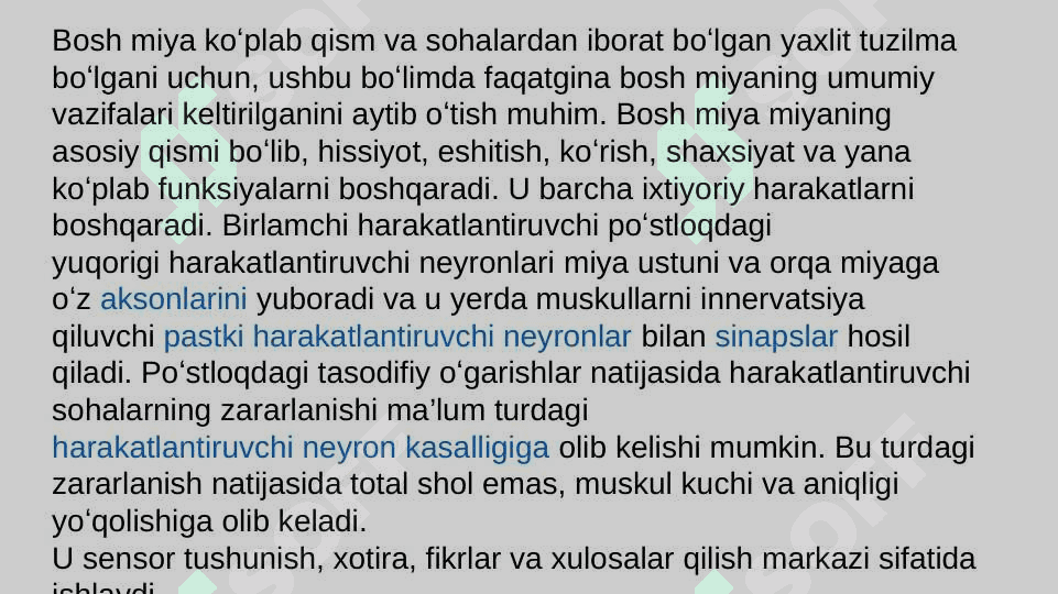 Miya pog'onasi o'zaklari va ularning ahamiyati. Miya stvoli. 3