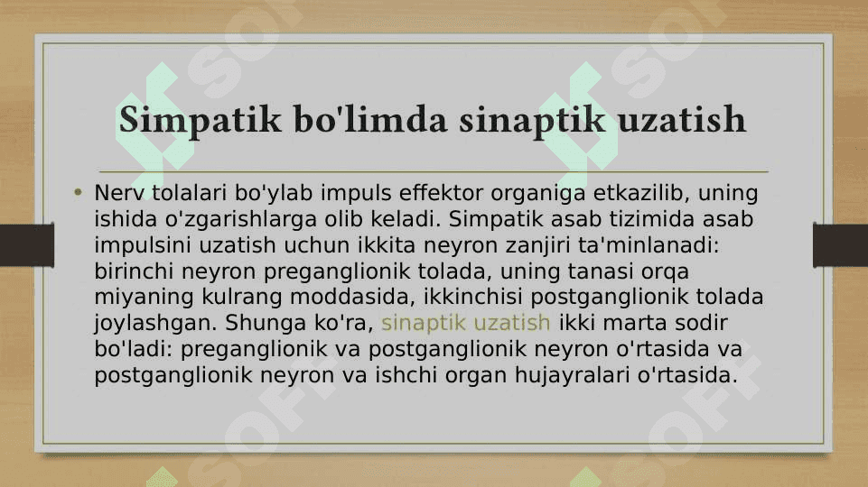 Vegitativ oliy markazlar va ularning funksional ahamiyati 6