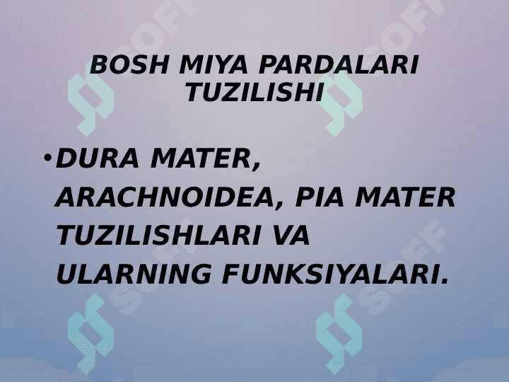Bosh miya pardalarining vena bo'shliqlari va sisternalari, likvordenamika 4