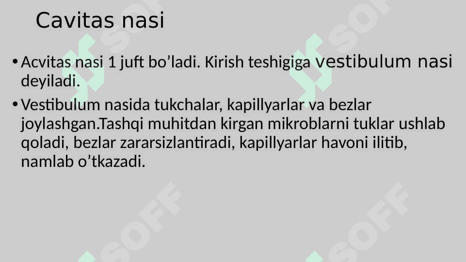 ta`m bilish va Hid bilish a’zolarining funksional anatomiyasi 5