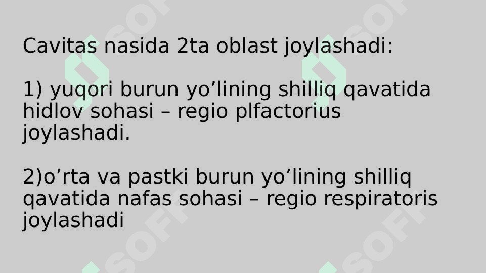 ta`m bilish va Hid bilish a’zolarining funksional anatomiyasi 6