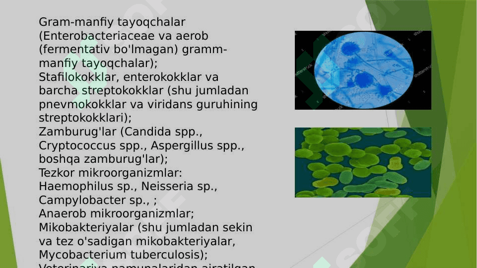 Murakkab serologik reaksiyalar. 5