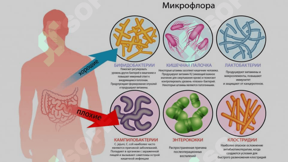 Disbakterioz va disbakteriozning zamonaviy bakteriologik diagnostikasi 3