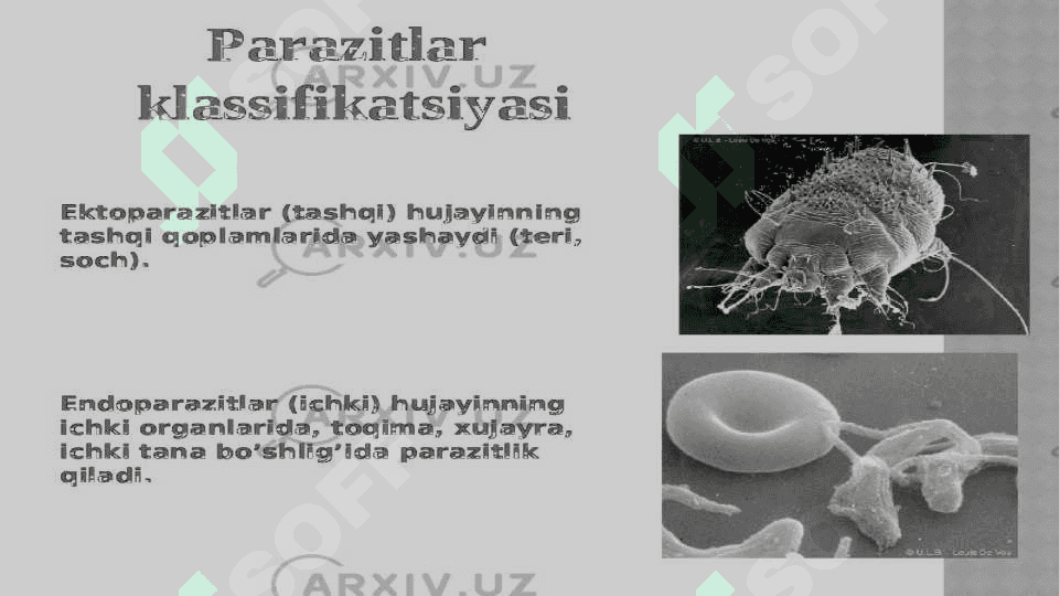 Endogen parazitar kasalliklar, klassifikatsiyasi, patogenezi, laboratoriya tashxisi 6