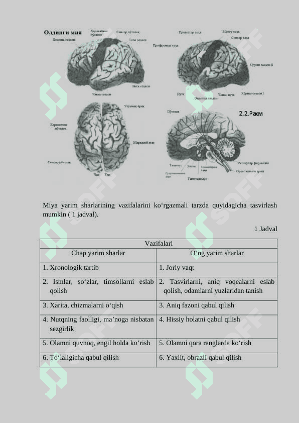 HULQ-ATVORNING PSIXOFOZIOLOGIK ASOSI 6