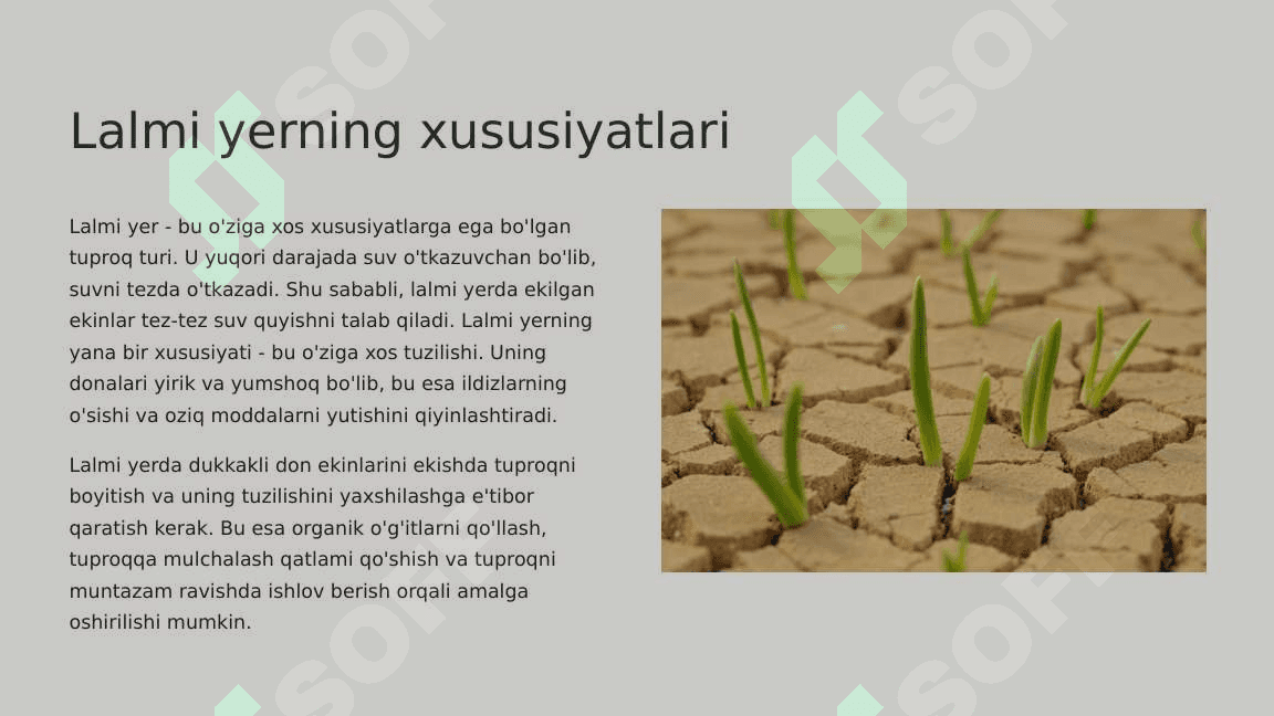 Organik dehqonchilikda lalmi yerda dukkakli -don ekinlarini erish. 3
