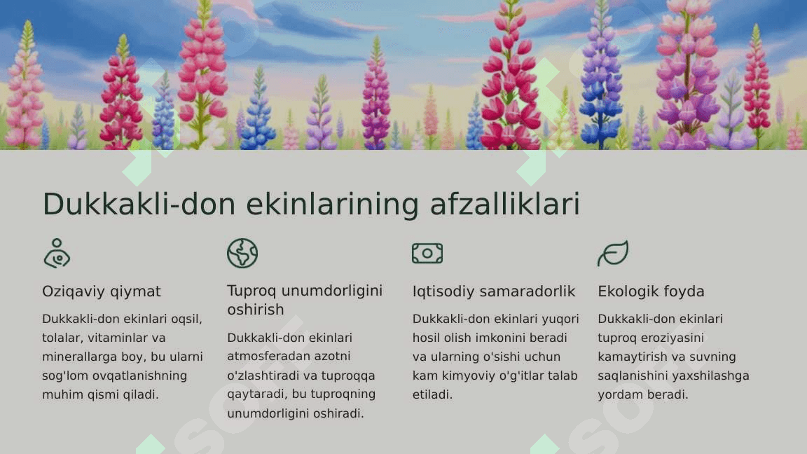 Organik dehqonchilikda lalmi yerda dukkakli -don ekinlarini erish. 4