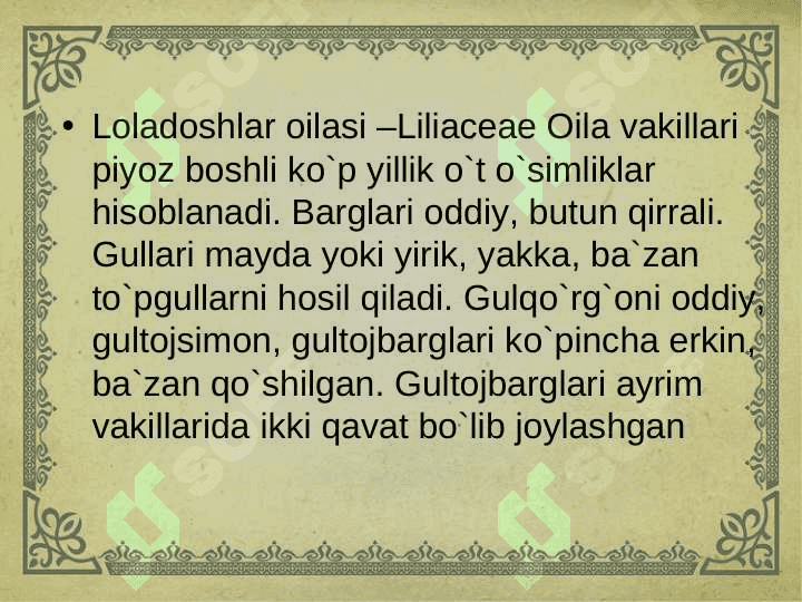 Lolanamolar qabilasi 4