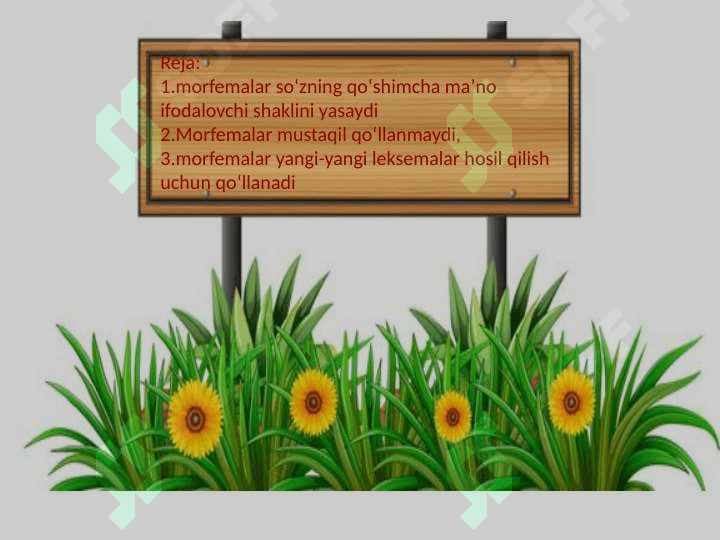 Morfemika va soʻz yasalishi 2