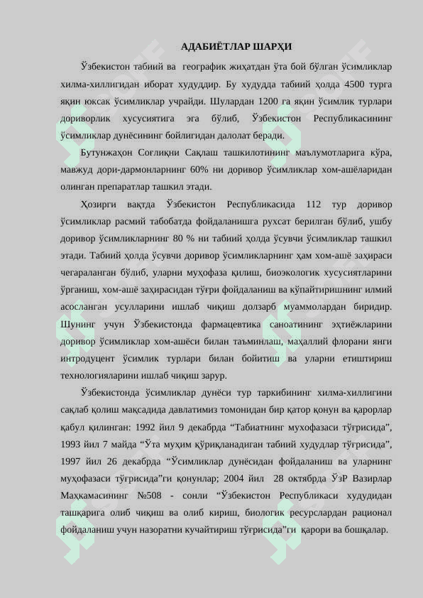 Тумток баргли (Cassia (senna) tora L.Roxb) санонинг етиштириш агротехникаси 6