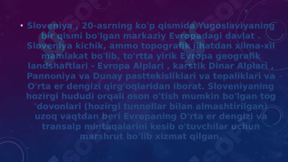 Sloveniya davlati bojhona ma’lumotlari 3