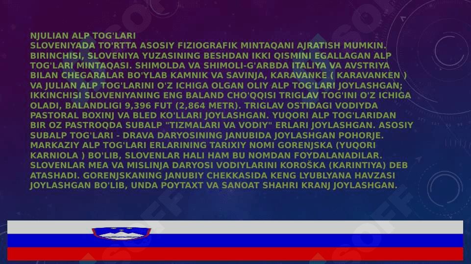 Sloveniya davlati bojhona ma’lumotlari 7