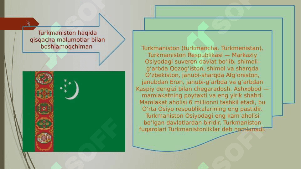 Turkmaniston davlat bojxona tizimi 3