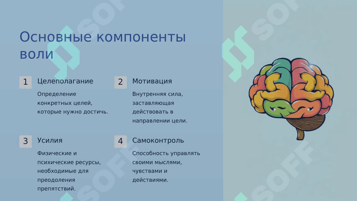 Понятие о воле: Путешествие в мир самоконтроля 4