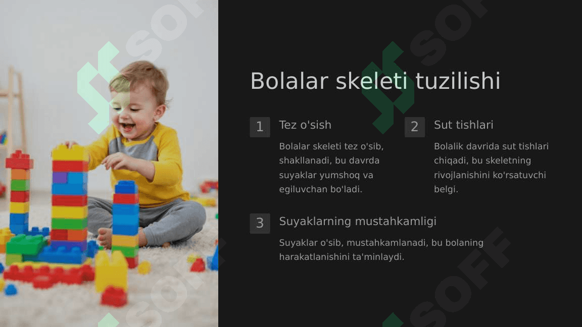 Yoshga qarab skelet anatomiyasi o'zgarishi 5