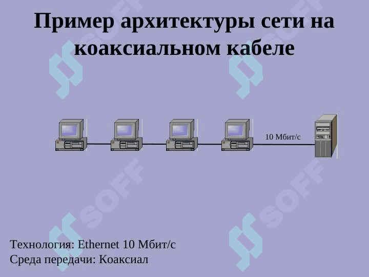 Компоненты сети 6